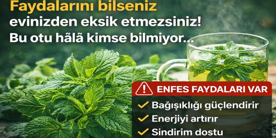 Faydalarını bilseniz evinizden eksik etmezsiniz! Bu otu hala kimse bilmiyor